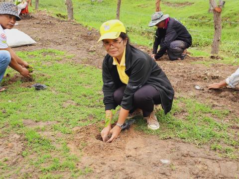 โครงการรักน้ำ รักป่า รักษาแผ่นดิน ประจำปีงบประมาณ 2567