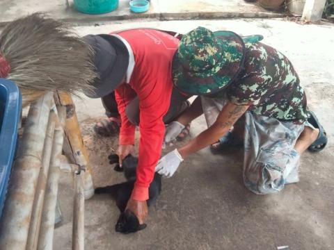 ฉีดวัคซีนป้องกันโรคพิษสุนัขบ้า ปีงบประมาณ 2568