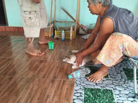 ฉีดวัคซีนป้องกันโรคพิษสุนัขบ้า ปีงบประมาณ 2568