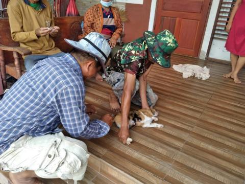 ฉีดวัคซีนป้องกันโรคพิษสุนัขบ้า ปีงบประมาณ 2568