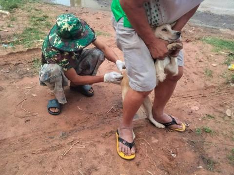 ฉีดวัคซีนป้องกันโรคพิษสุนัขบ้า ปีงบประมาณ 2568