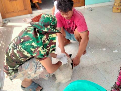 ฉีดวัคซีนป้องกันโรคพิษสุนัขบ้า ปีงบประมาณ 2568