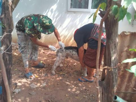 ฉีดวัคซีนป้องกันโรคพิษสุนัขบ้า ปีงบประมาณ 2568