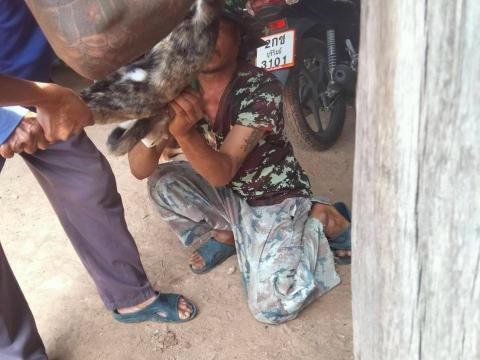 ฉีดวัคซีนป้องกันโรคพิษสุนัขบ้า ปีงบประมาณ 2568