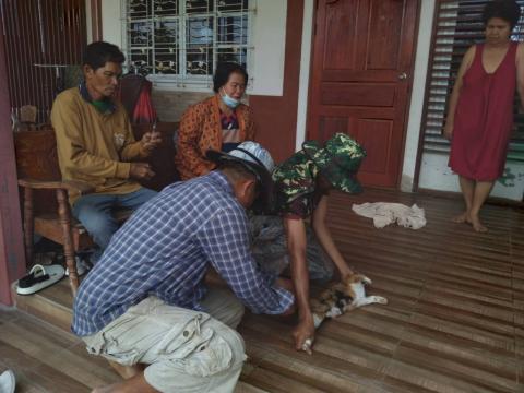 ฉีดวัคซีนป้องกันโรคพิษสุนัขบ้า ปีงบประมาณ 2568
