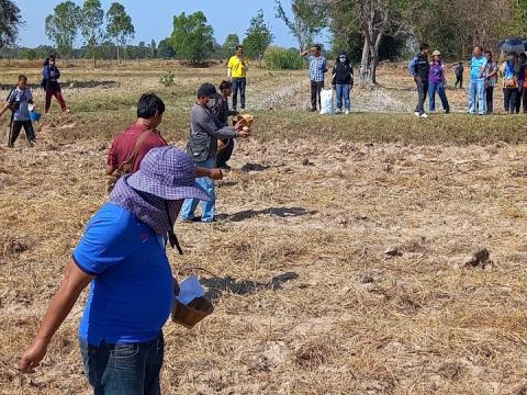 โครงการฝึกอบรมรณรงค์สาธิตการไถกลบตอซังข้าวและปลูกพืชปรับปรุงดิน