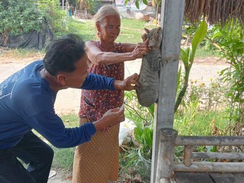 โครงการสัตว์ปลอดโรคคนปลอดภัยจากพิษสุนัขบ้า