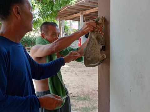 โครงการสัตว์ปลอดโรคคนปลอดภัยจากพิษสุนัขบ้า