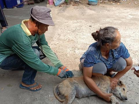 โครงการสัตว์ปลอดโรคคนปลอดภัยจากพิษสุนัขบ้า