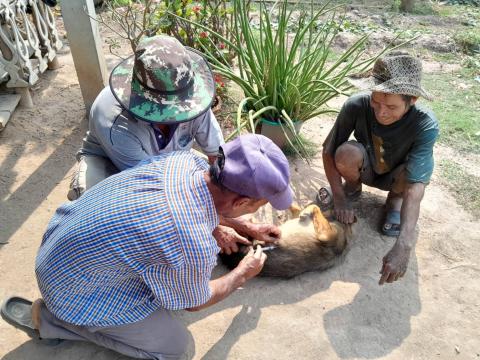 โครงการสัตว์ปลอดโรคคนปลอดภัยจากพิษสุนัขบ้า